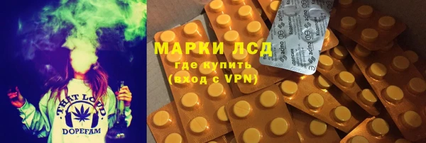 хмурый Алзамай