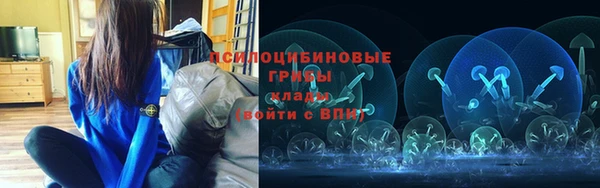 хмурый Алзамай