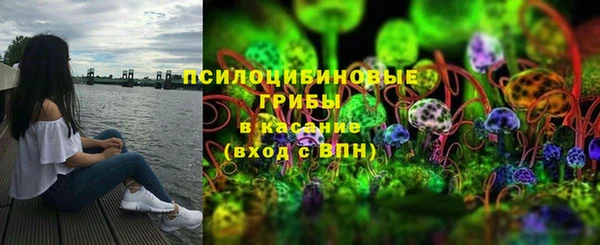 дурь Алексин
