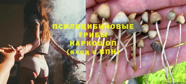 хмурый Алзамай